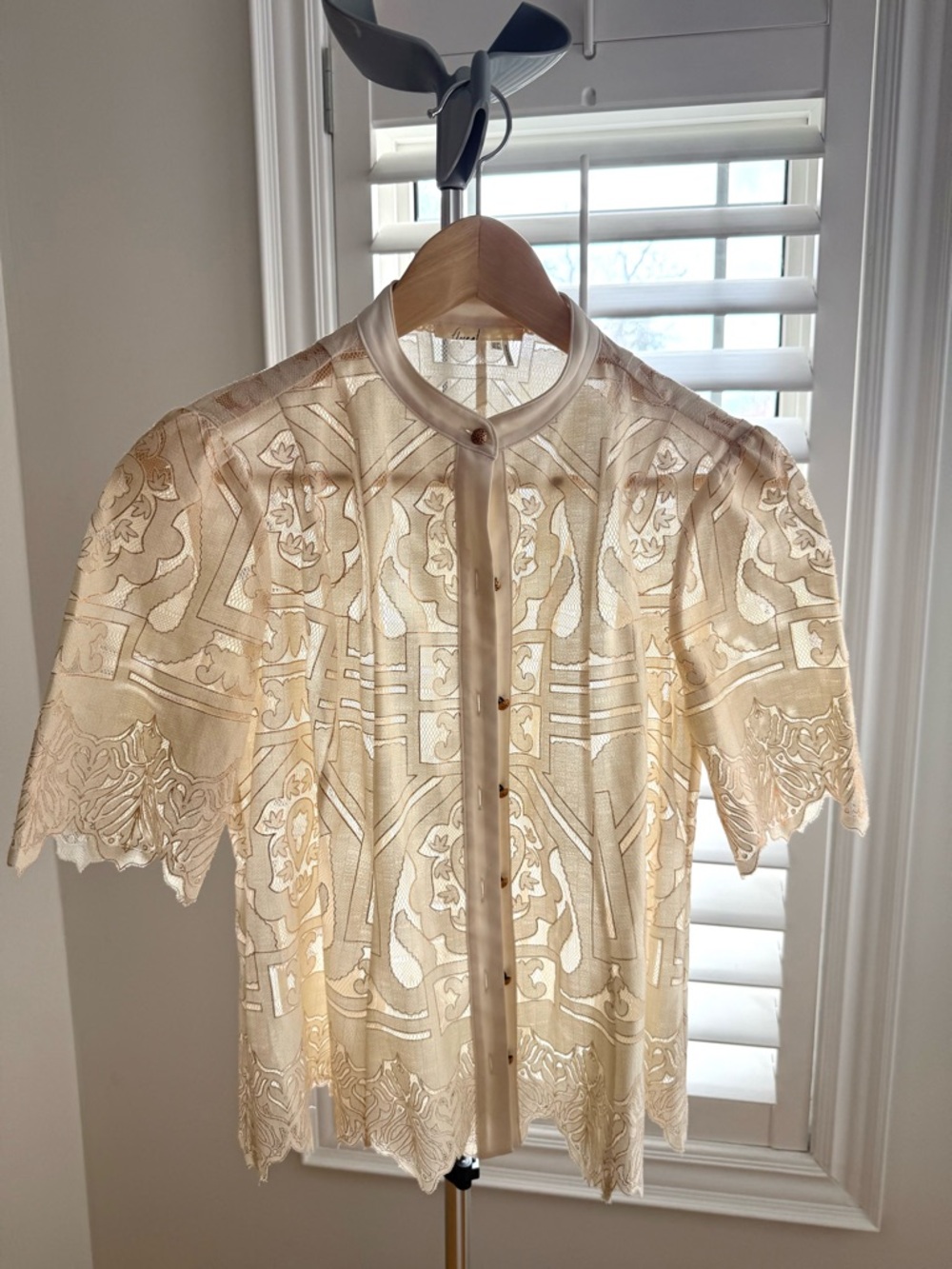 Sheer Embroidered Lace Button-Up Blouse in Cream